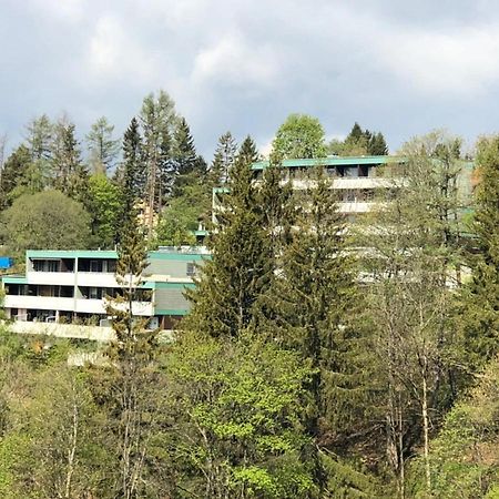 Apartment Harzblick -Neu Modernisiert- Sankt Andreasberg Exterior photo